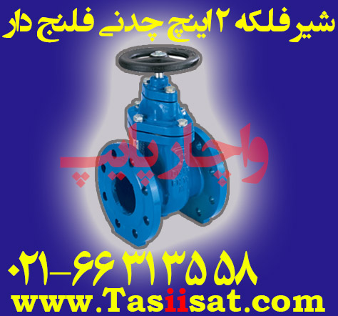 شیر فلکه 2 اینچ چدنی فلنج دار فاراب