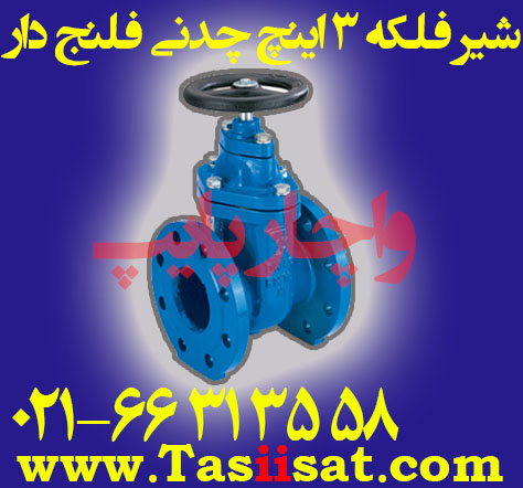 شیر فلکه 3 اینچ چدنی فلنج دار فاراب