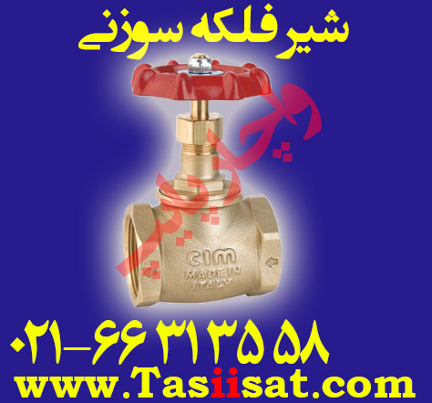 شیر فلکه سوزنی سیم ایتالیا PN 10